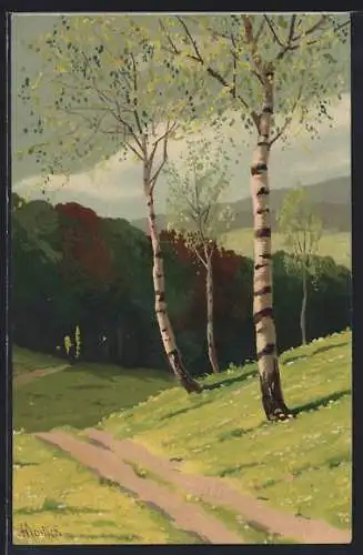 Künstler-AK Alfred Mailick: Sonnige Landstrasse mit Birken im Frühling