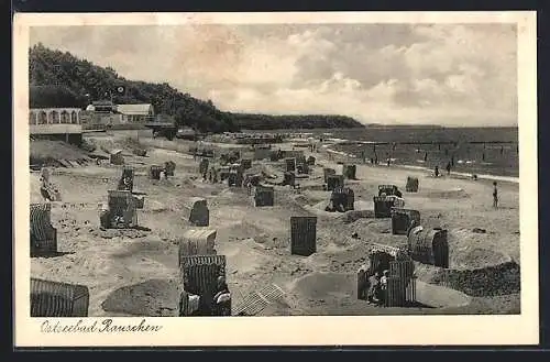 AK Rauschen, Ostseestrand mit Strandkörben, 
