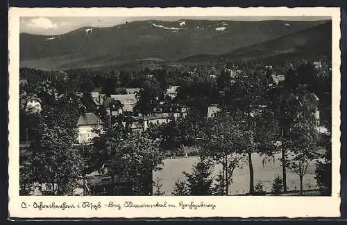 AK Ober-Schreiberhau i. Rsgb., Bez. Mariental mit Hochgebirge