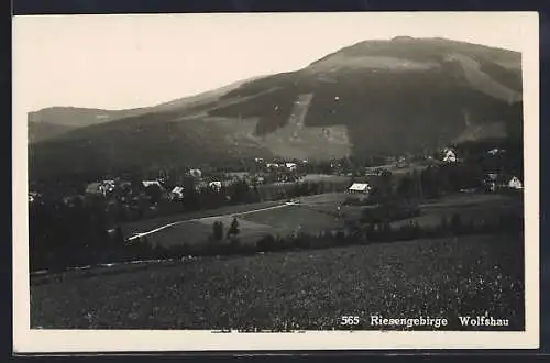 AK Wolfshau /Riesengebirge, Ortsansicht vom Berghang aus