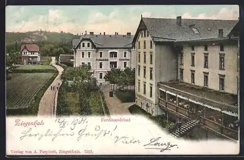 AK Ziegenhals, Ferdinandsbad mit Gartenhaus, Wintergarten, Anlagen und Strasse aus der Vogelschau