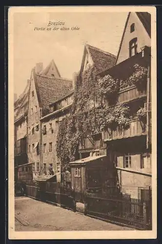 AK Breslau, Partie an der alten Ohle