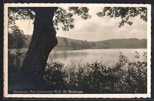 AK Bechensee /Schermeisel, Gr. Bechensee vom Ufer aus