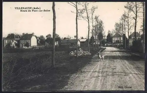 AK Villenauxe, Route de Pont-sur-Seine avec chien sur le chemin