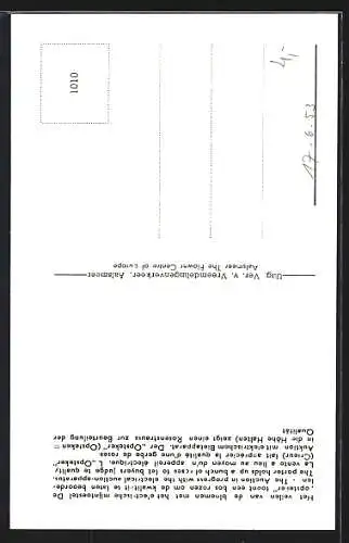 AK Aalsmeer, Blumenauktion