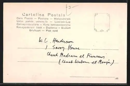 AK Cairo, Matarich Ostrich Farm, Strausse