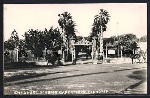 AK Alexandria, Entrance Nousha Gardens