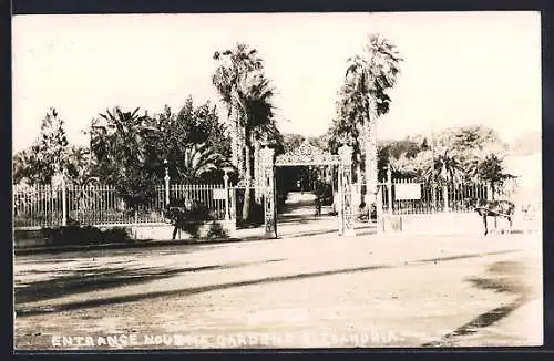 AK Alexandria, Entrance Nousha Gardens