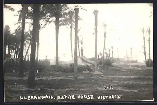 AK Alexandria, Native House Victoria