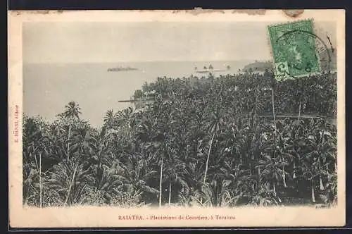 AK Raiatea, Plantation de Cocotiers, à Tevaitoa