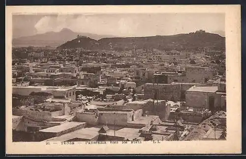 AK Tunis, Panorama vers les Forts