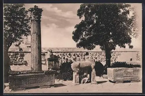 AK Carthage, Antiquités