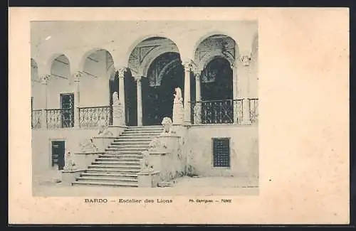 AK Tunis, Bardo, Escalier des Lions