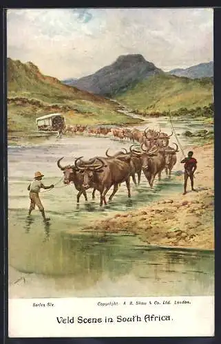Künstler-AK South Africa, Veld Scene