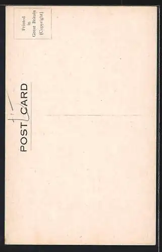 Künstler-AK South Africa, Veld Scene