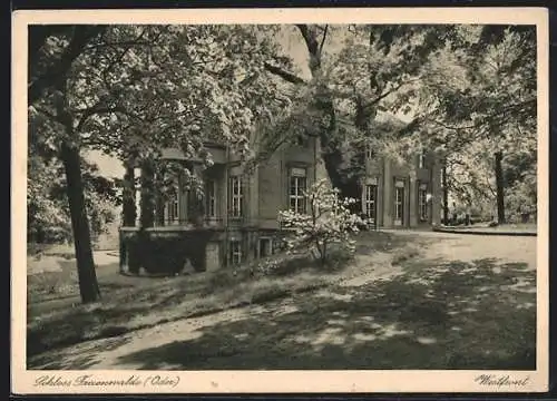 AK Freienwalde /Oder, Westfront des Schlosses