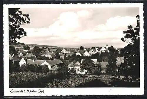 AK Etzenricht /Weiden, Blick auf das Dorf