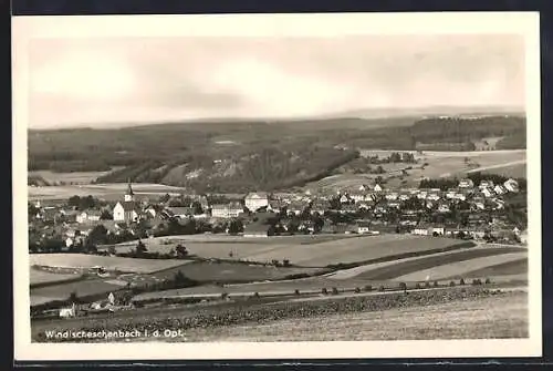 AK Windischeschenbach, Totale mit Umland