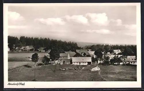 AK Neudorf /Obpf., Ortspartie