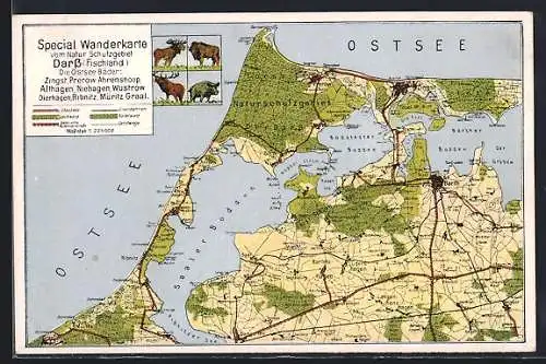 AK Zingst / Darss, Wanderkarte vom Naturschutzgebiet Darss an der Ostsee