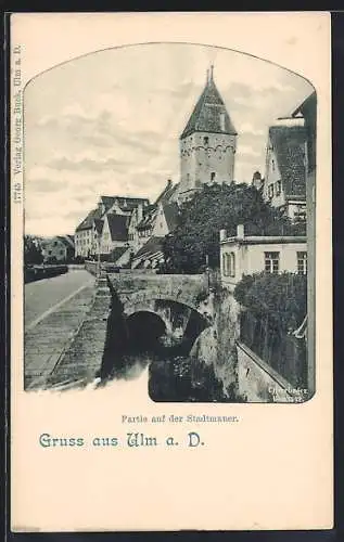 AK Ulm a.D., Partie auf der Stadtmauer