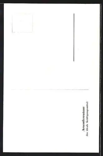 AK Rostock, Strassenpartie mit Toren