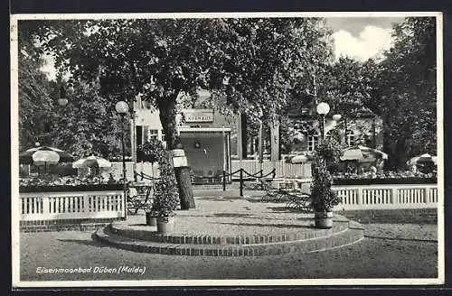 AK Düben /Mulde, Eisenmoorbad mit Städt. Kurhaus