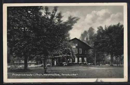 AK Friedrichroda i. Thür., Waldcafé Tanzbuche