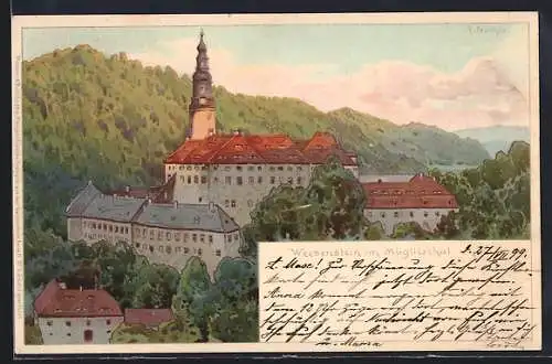 Künstler-Lithographie Weesenstein im Müglitztal, Ortspartie aus der Vogelschau