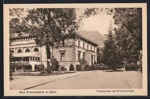 AK Bad Freienwalde, Promenade am Brunnenhotel
