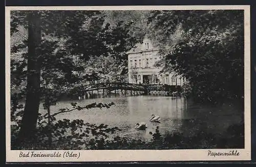 AK Bad Freienwalde / Oder, Restaurant Papenmühle