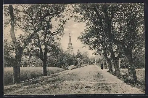 AK Stolpe / Hohen Neuendorf, Nussbaum-Allee mit Blick zur Kirche