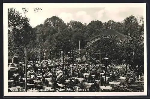 AK Potsdam, Gasthof und Konzertgarten Alter Fritz, Konzert im Garten