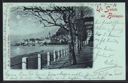 Mondschein-AK Bellagio, Uferpartie mit Bäumen