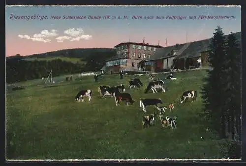 AK Neue Schlesische Baude /Riesengebirge, Blick nach dem Reifträger und Pferdekopfsteinen
