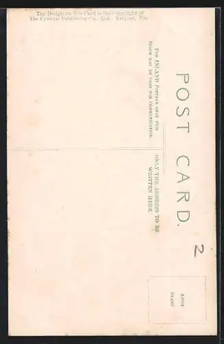 Künstler-AK Cynicus: Any Port in a Storm