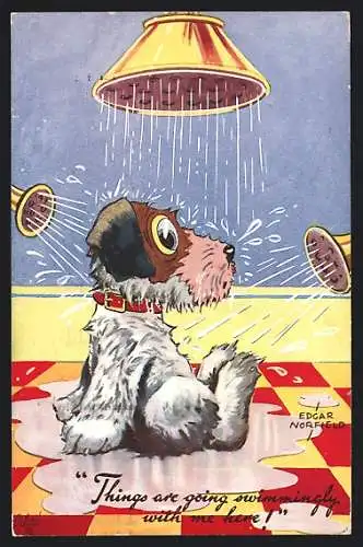 Künstler-AK sign. Edgar Norfield: A Dogs Life - Things are going swimmingly with me here!, Hund unter Dusche, Scherz