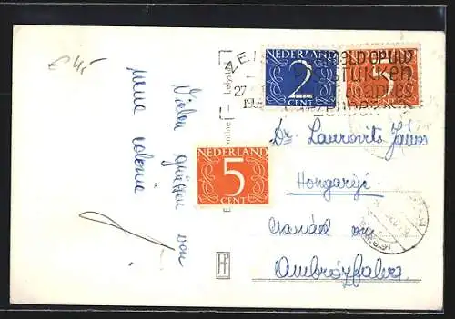 AK Lelystad, Overzicht