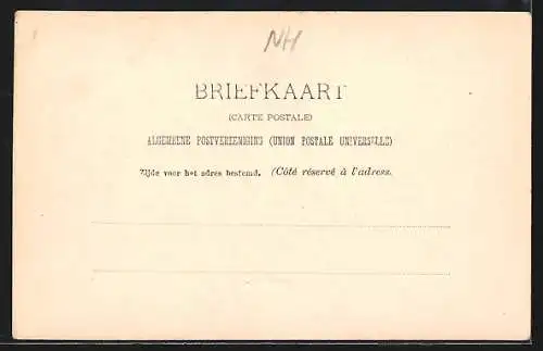 AK Zaandam, De Dam, Panorama