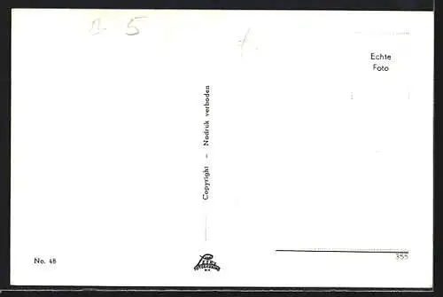 AK Zaandam, Westzijde