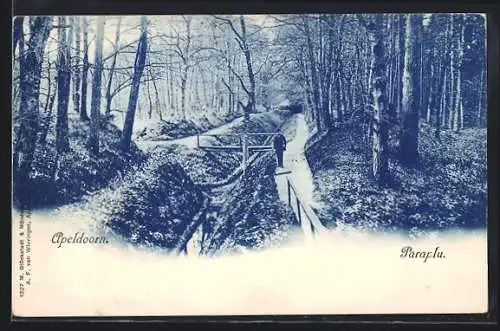 AK Apeldoorn, Paraplu