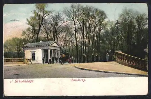 AK s`Gravenhage, Boschbrug