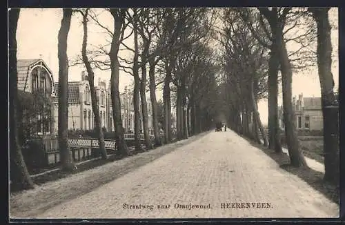 AK Heerenveen, Straatweg naar Oranjewoud