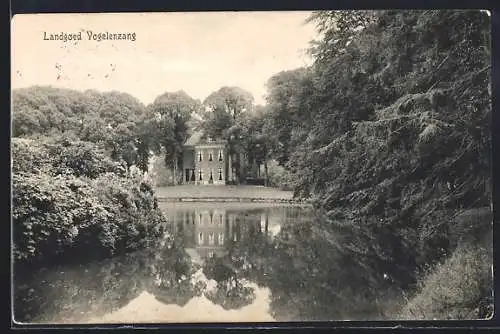 AK Vogelenzang, Landgoed Vogelenzang