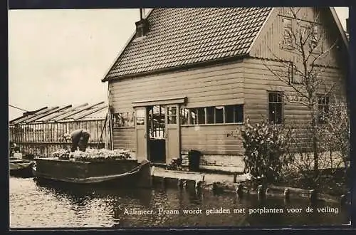 AK Aalsmeer, Praam wordt geladen met potplanten voor de veiling