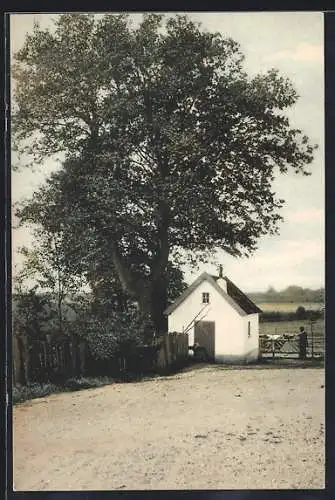 AK Hoog-Soeren, Weide en huteweide bij Hotel Eik en Dal