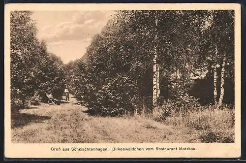 AK Schmachtenhagen / Oranienburg, Birkenwäldchen vom Restaurant Motzkau