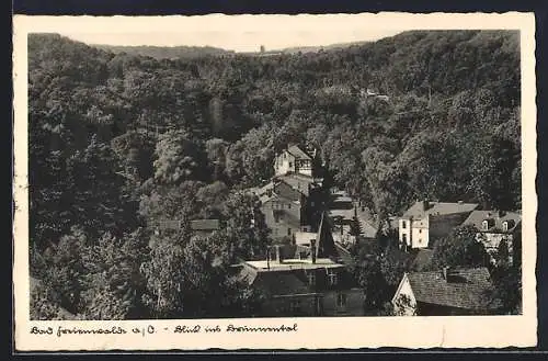 AK Bad Freienwalde a. O., Blick ins Brunnental