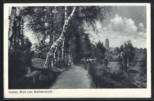 AK Guben, Wanderweg mit Blick zum Bismarckturm