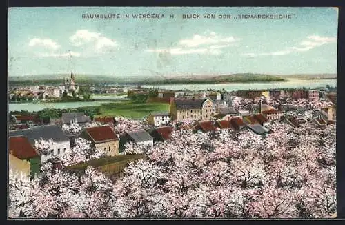 AK Werder / Havel, Blick von der Bismarckhöhe auf die Stadt